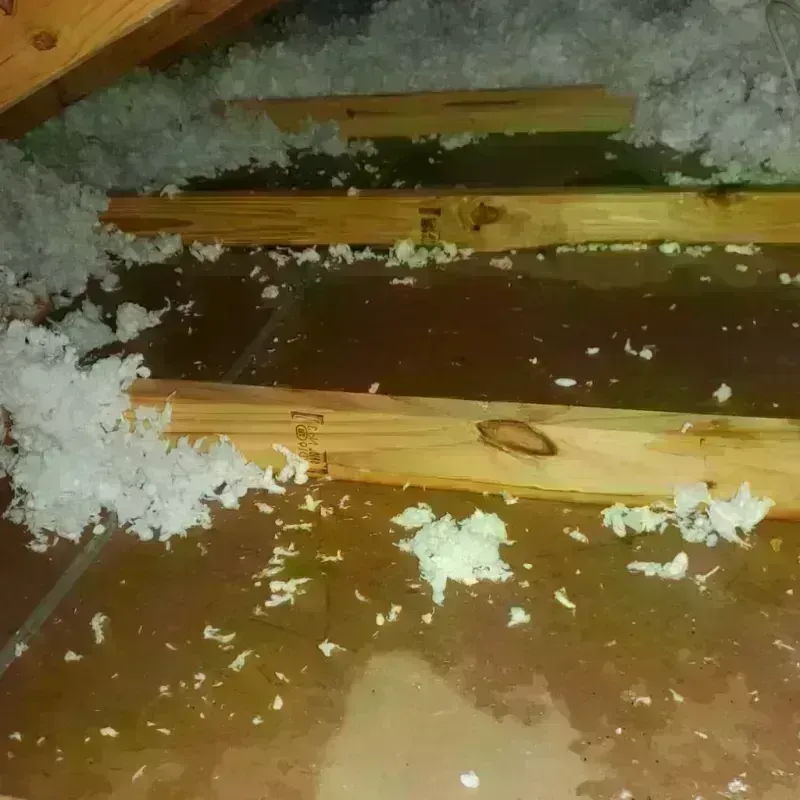 Attic Water Damage in Americus, GA