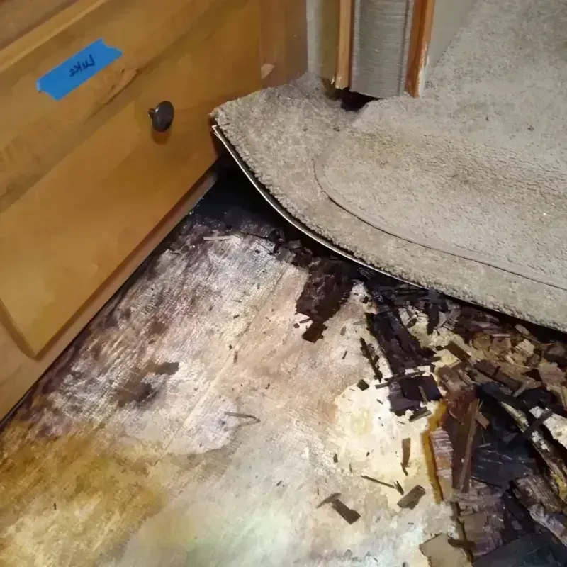 Best Wood Floor Water Damage Service in Americus, GA